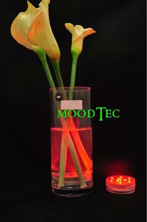 10 LED Colorful Waterproof Submersible Party Light With Remote Control (In Stock)