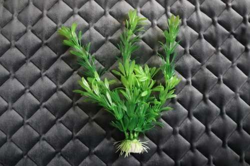 Artificial Plastic Fish Tank Plant - Aquarium Decor - 20cm (In Stock)