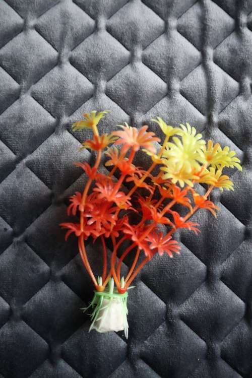 Artificial Plastic Fish Tank Plant - Aquarium Decor - 10 cm (In Stock)