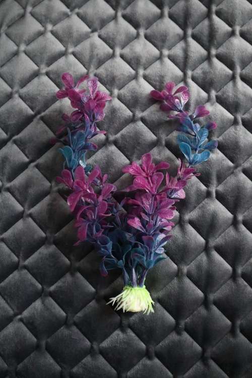 Artificial Plastic Fish Tank Plant - Aquarium Decor - 20cm (In Stock)