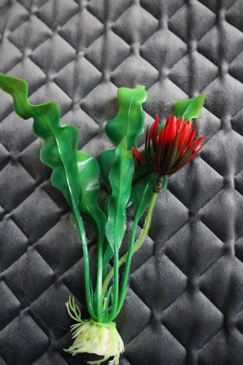 Artificial Plastic Fish Tank Plant - Aquarium Decor - 20 cm (In Stock)