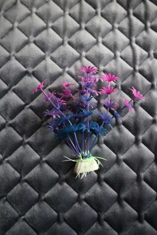 Artificial Plastic Fish Tank Plant - Aquarium Decor - 10 cm (In Stock)