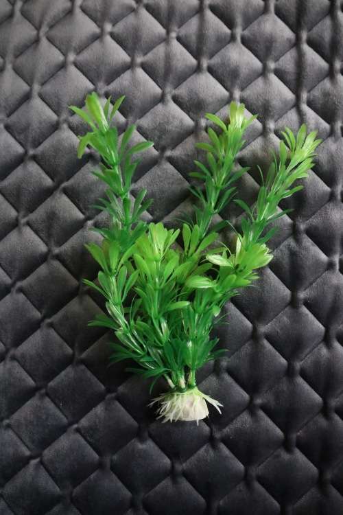 Artificial Plastic Fish Tank Plant - Aquarium Decor - 20cm (In Stock)
