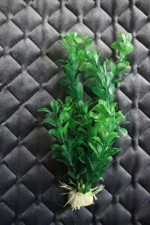 Artificial Plastic Fish Tank Plant - Aquarium Decor - 20cm (In Stock)