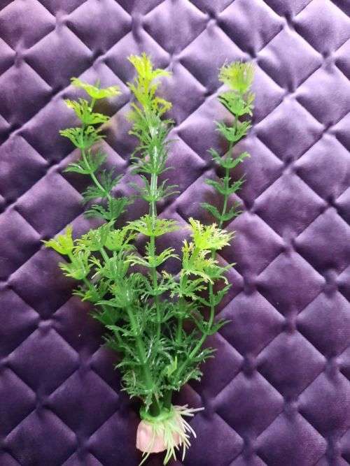 Artificial Plastic Fish Tank Plant - Aquarium Decor - 20cm (In Stock)