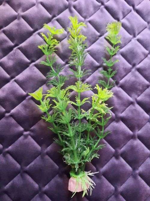 Artificial Plastic Fish Tank Plant - Aquarium Decor - 20cm (In Stock)