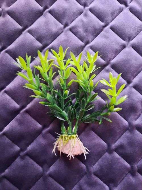 Artificial Plastic Fish Tank Plant - Aquarium Decor - 10 cm (In Stock)