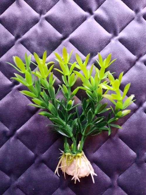 Artificial Plastic Fish Tank Plant - Aquarium Decor - 10 cm (In Stock)