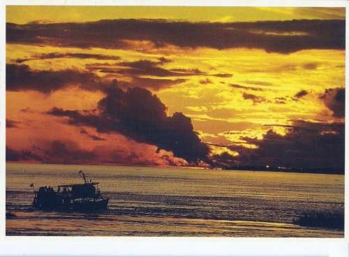 POSTCARD Amazon Brazil