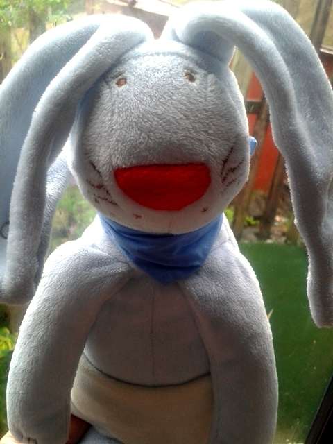 Monty, bunny with long, floppy ears!  Special!