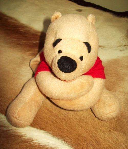 Pooh Bear - Cute Little Bag with Zip!