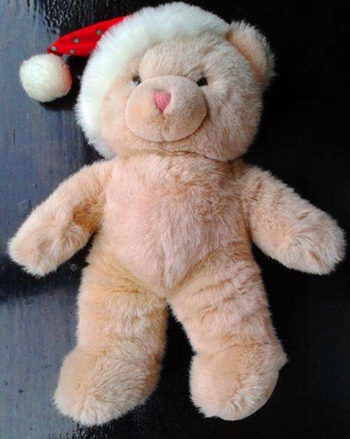 Soft & Cuddly Christmas Teddy Bear! Special!