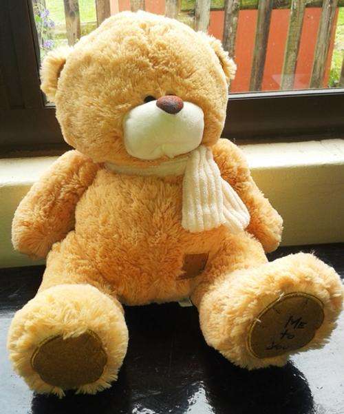 Huggies the Huggable Teddy!  So Cute!