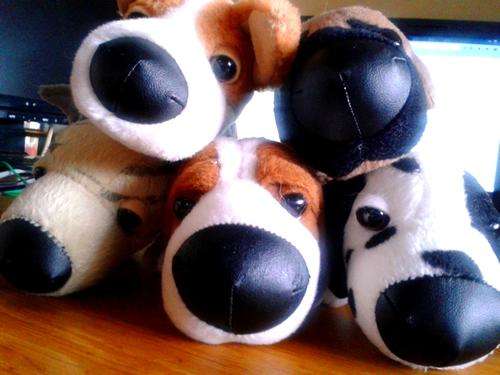 Big head little body dog toy store