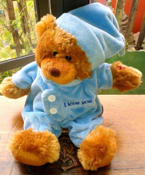 Sleepy, I love you Bear with snoring/sleeping sound!  Very Cuddly  and soooo soft!