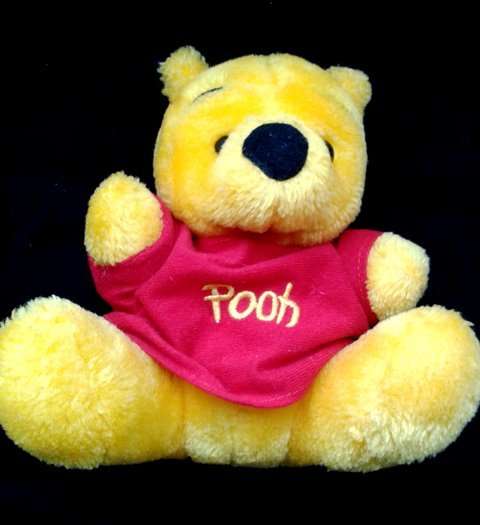 Winnie the Pooh.  Cute as a Button!