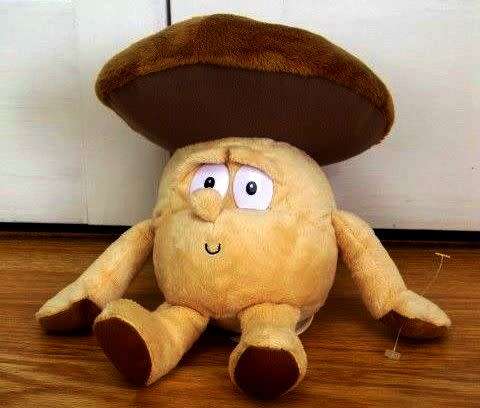 The Goodness Gang.  Max Mushroom the Plush Soft Toy.