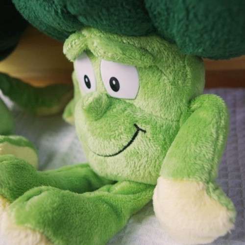 The Goodness Gang.  Bobbi Broccoli the Plush Soft Toy.
