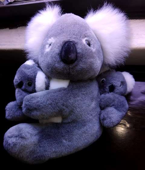 Momma Koala Bear & 2x Baby Koala's! Plush soft toys. 28cm.