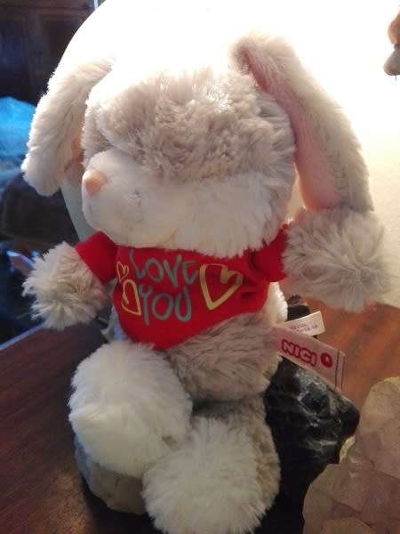 Cuddles, the softest, cutest bunny ever!  Nici Toy!