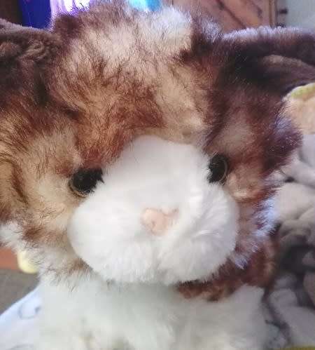 Ginger Snapps the Beautiful Plush, Large Cat.  32cm.