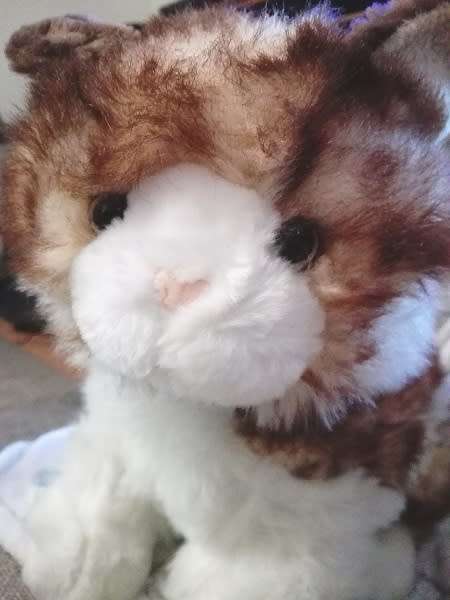 Ginger Snapps the Beautiful Plush, Large Cat.  32cm.