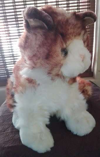 Ginger Snapps the Beautiful Plush, Large Cat.  32cm.