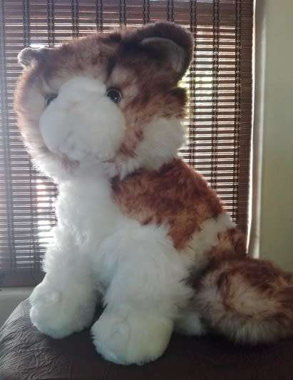 Ginger Snapps the Beautiful Plush, Large Cat.  32cm.
