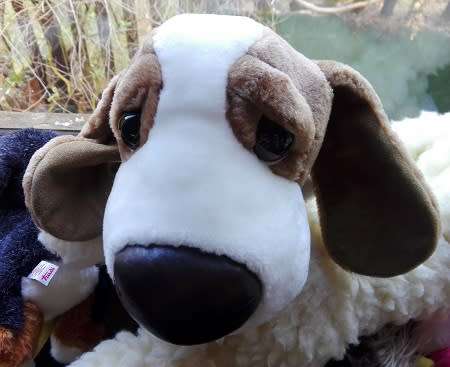 Artlist Big Eyed Plush Dog with Big Nose!