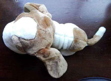 Artlist Big Eyed Plush Dog with Big Nose!