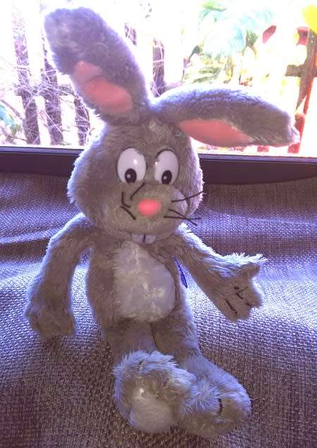 Ray the softest, cutest funny bunny ever!