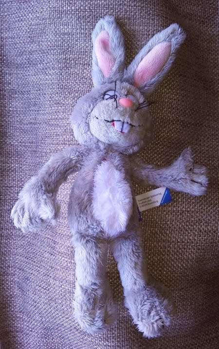 Ray the softest, cutest funny bunny ever!