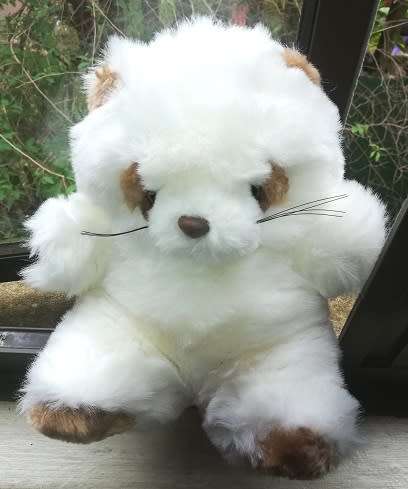 Rocky the Raccoon.  A Beautiful White Plush Soft Toy.  25cm.