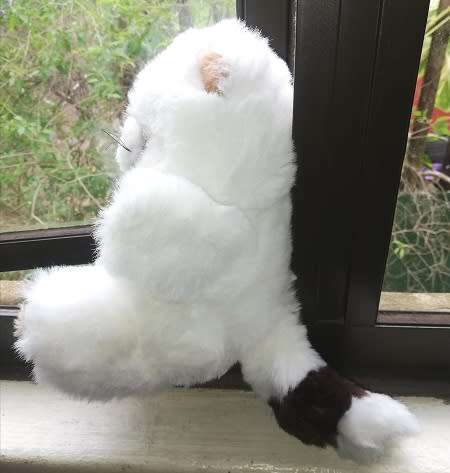 Rocky the Raccoon.  A Beautiful White Plush Soft Toy.  25cm.