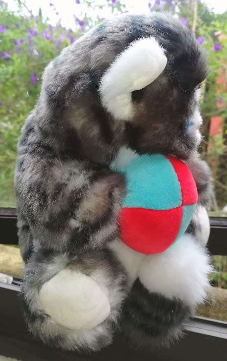 Cassie the Cute Cat!  Trudi Plush Handmade Soft Toy!  24cm.