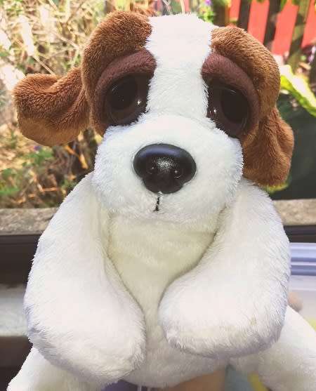 Ajax the Puppy dog!  Plush Soft Toy with big Peepers!