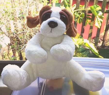 Ajax the Puppy dog!  Plush Soft Toy with big Peepers!