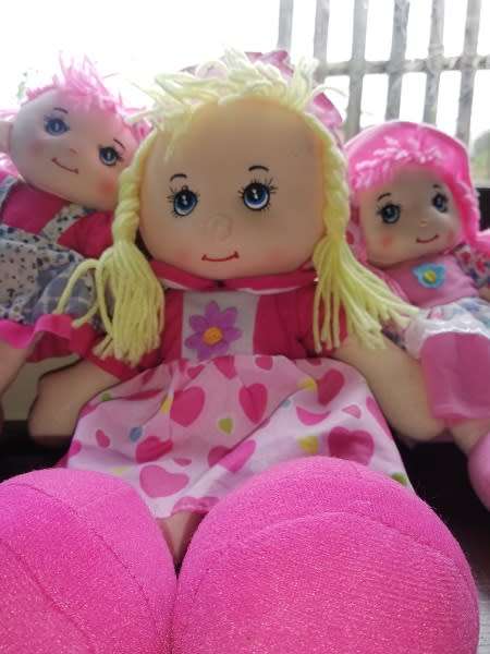 3x Beautiful Ragdolls For Sale!