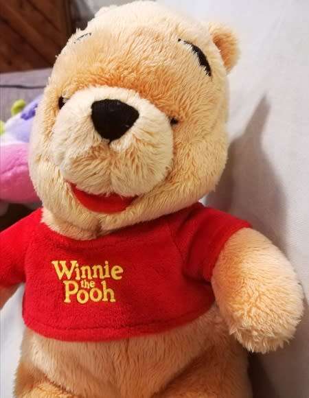 Disney's Winnie the Pooh super soft toy.  23cm.