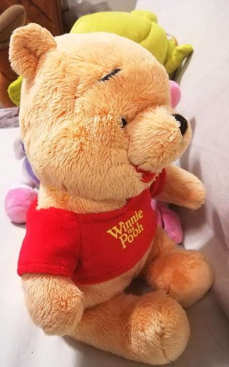 Disney's Winnie the Pooh super soft toy.  23cm.