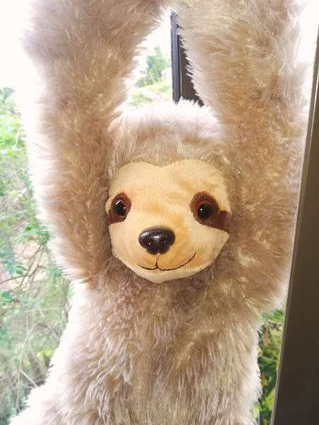 Sloth Business!  Crusty the Super Soft Sloth!  58cm.