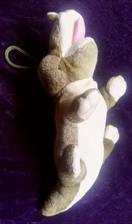 Cute Crocodile.  Small, plush soft toy!