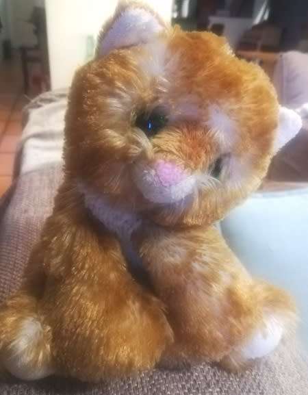 Beautiful Plush, Ginger Cat.  Heunec Beanie Bag.  Floppy and cute!  20cm.