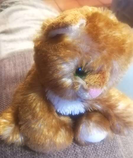 Beautiful Plush, Ginger Cat.  Heunec Beanie Bag.  Floppy and cute!  20cm.
