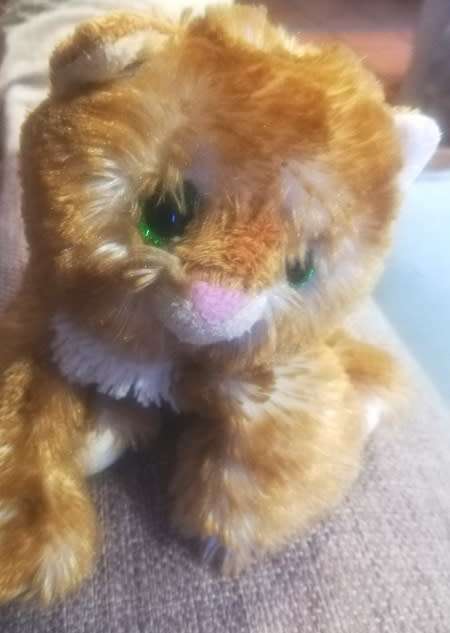 Beautiful Plush, Ginger Cat.  Heunec Beanie Bag.  Floppy and cute!  20cm.
