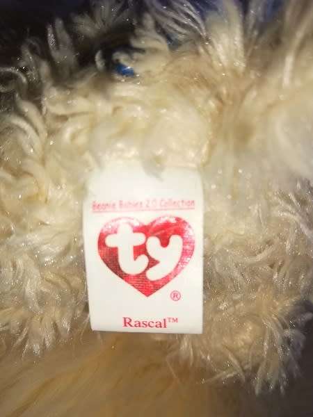 TY Beanie Baby 2.0 - RASCAL the Dog.  15cm.