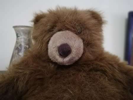 Grizz the Large Huggable Bear!!  50cm.  Great Price!!