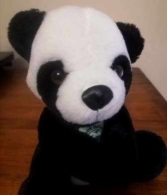 Beautiful little Bamboo, the Panda.  Plush L'Oreal soft toy!  20cm.