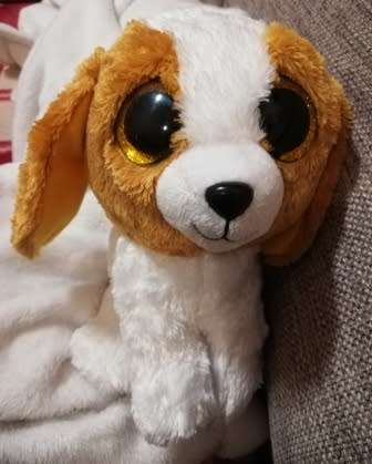 Retired and Rare. Cookie the glitter eyed dog by TY.  2013.  25cm.