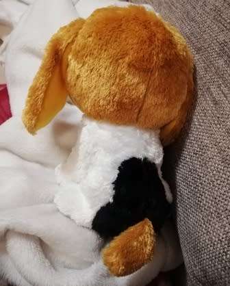 Retired and Rare. Cookie the glitter eyed dog by TY.  2013.  25cm.